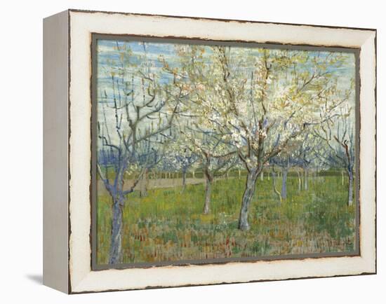 The Pink Orchard, 1888-Vincent van Gogh-Framed Premier Image Canvas