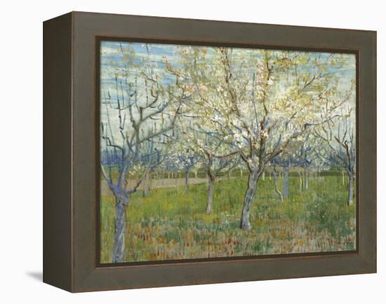 The Pink Orchard, 1888-Vincent van Gogh-Framed Premier Image Canvas