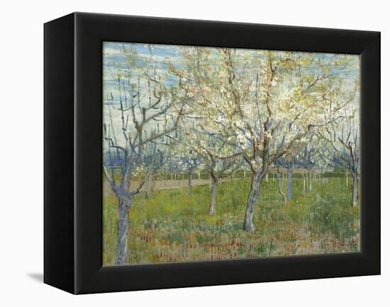 The Pink Orchard, 1888-Vincent van Gogh-Framed Premier Image Canvas