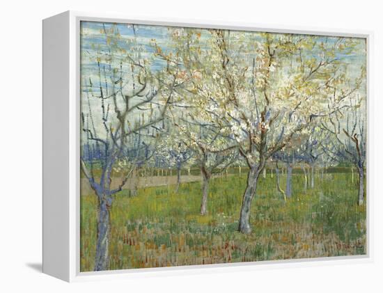 The Pink Orchard, 1888-Vincent van Gogh-Framed Premier Image Canvas