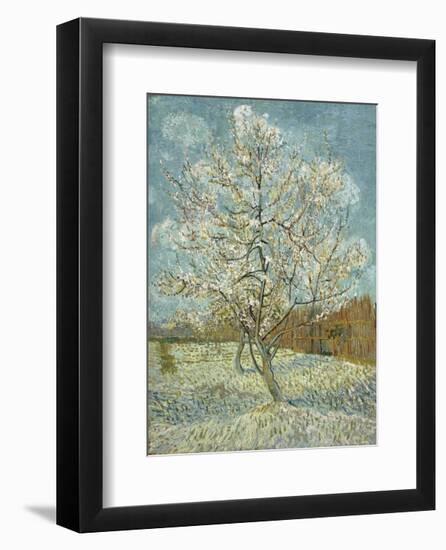 The Pink Peach Tree, 1888-Vincent van Gogh-Framed Art Print