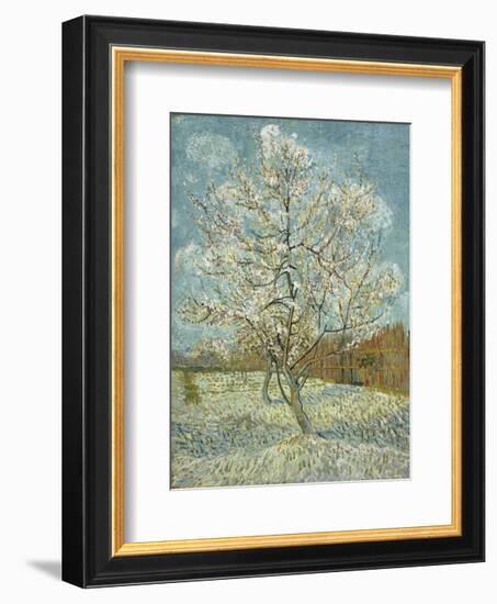 The Pink Peach Tree, 1888-Vincent van Gogh-Framed Art Print
