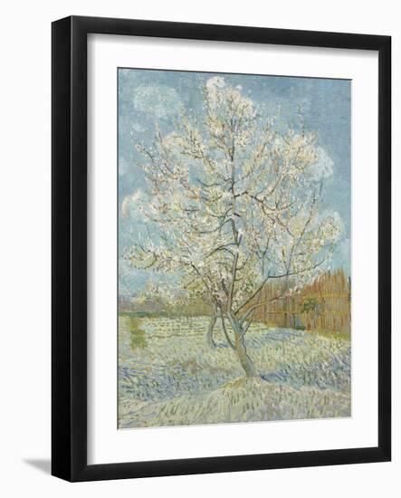 The Pink Peach Tree, 1888-Vincent van Gogh-Framed Giclee Print