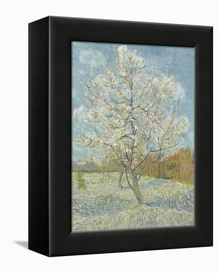 The Pink Peach Tree, 1888-Vincent van Gogh-Framed Premier Image Canvas