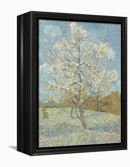 The Pink Peach Tree, 1888-Vincent van Gogh-Framed Premier Image Canvas