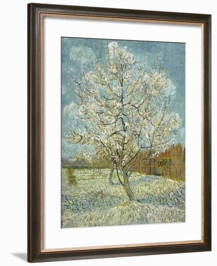 The Pink Peach Tree, 1888-Vincent van Gogh-Framed Giclee Print