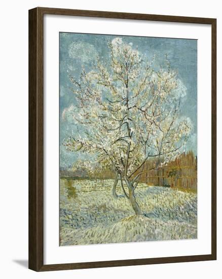 The Pink Peach Tree, 1888-Vincent van Gogh-Framed Giclee Print