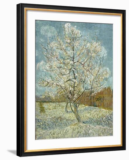 The Pink Peach Tree, 1888-Vincent van Gogh-Framed Giclee Print