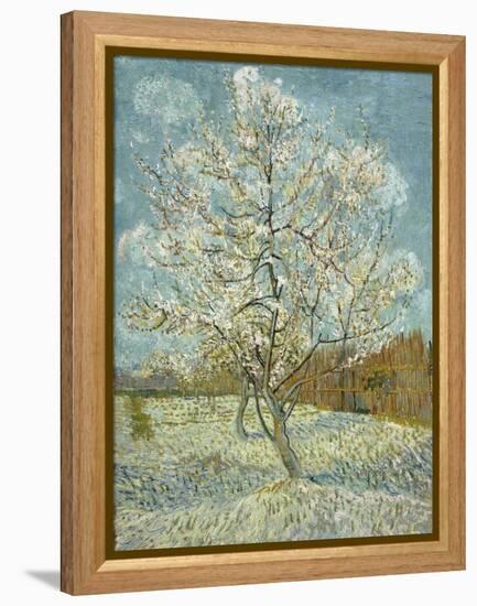 The Pink Peach Tree, 1888-Vincent van Gogh-Framed Premier Image Canvas