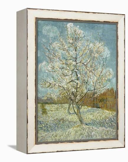 The Pink Peach Tree, 1888-Vincent van Gogh-Framed Premier Image Canvas