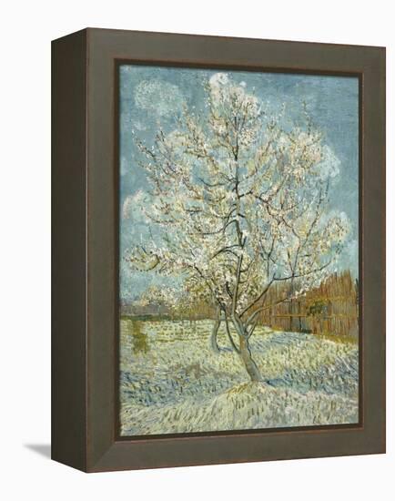 The Pink Peach Tree, 1888-Vincent van Gogh-Framed Premier Image Canvas