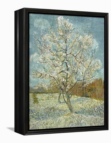 The Pink Peach Tree, 1888-Vincent van Gogh-Framed Premier Image Canvas