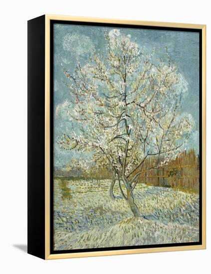 The Pink Peach Tree, 1888-Vincent van Gogh-Framed Premier Image Canvas