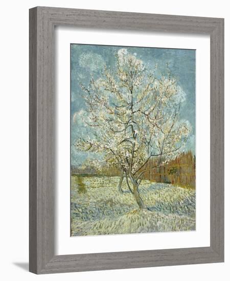 The Pink Peach Tree, 1888-Vincent van Gogh-Framed Giclee Print