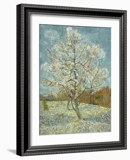 The Pink Peach Tree, 1888-Vincent van Gogh-Framed Giclee Print