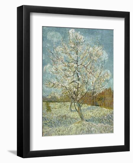 The Pink Peach Tree, 1888-Vincent van Gogh-Framed Giclee Print