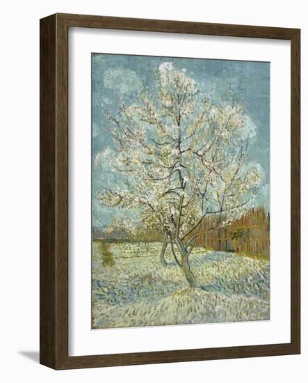 The Pink Peach Tree. Arles, April-May 1888-Vincent van Gogh-Framed Giclee Print