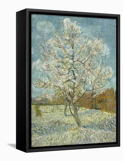 The Pink Peach Tree. Arles, April-May 1888-Vincent van Gogh-Framed Premier Image Canvas