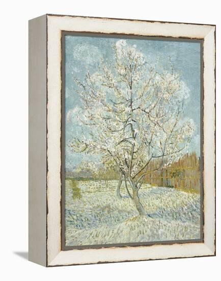 The Pink Peach Tree-Vincent van Gogh-Framed Premier Image Canvas