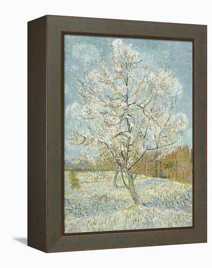 The Pink Peach Tree-Vincent van Gogh-Framed Premier Image Canvas