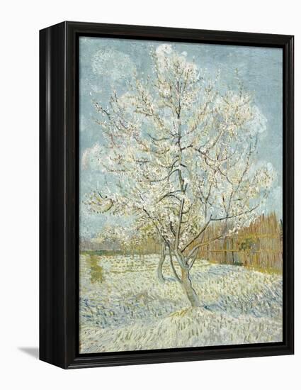 The Pink Peach Tree-Vincent van Gogh-Framed Premier Image Canvas