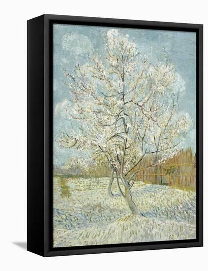 The Pink Peach Tree-Vincent van Gogh-Framed Premier Image Canvas