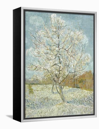 The Pink Peach Tree-Vincent van Gogh-Framed Premier Image Canvas