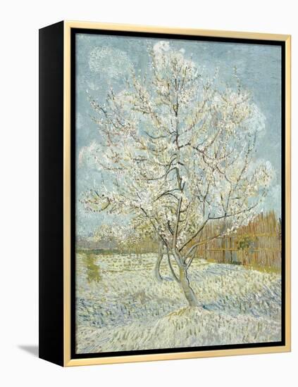 The Pink Peach Tree-Vincent van Gogh-Framed Premier Image Canvas