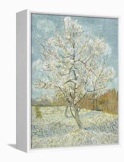 The Pink Peach Tree-Vincent van Gogh-Framed Premier Image Canvas