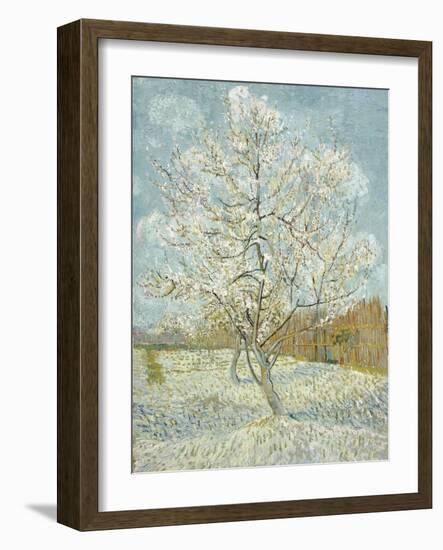 The Pink Peach Tree-Vincent van Gogh-Framed Premium Giclee Print