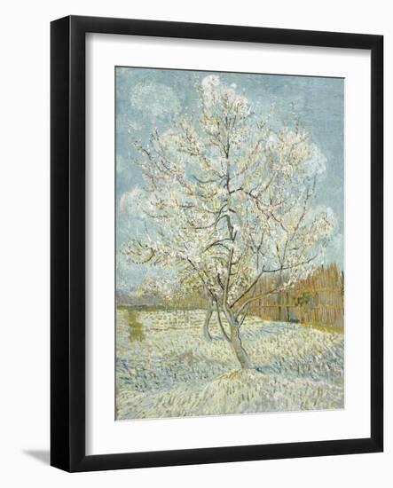 The Pink Peach Tree-Vincent van Gogh-Framed Premium Giclee Print