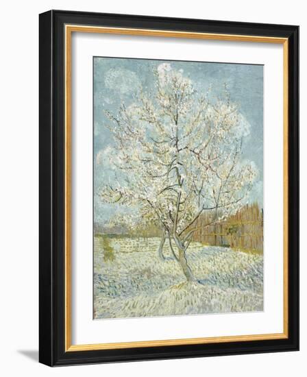 The Pink Peach Tree-Vincent van Gogh-Framed Premium Giclee Print