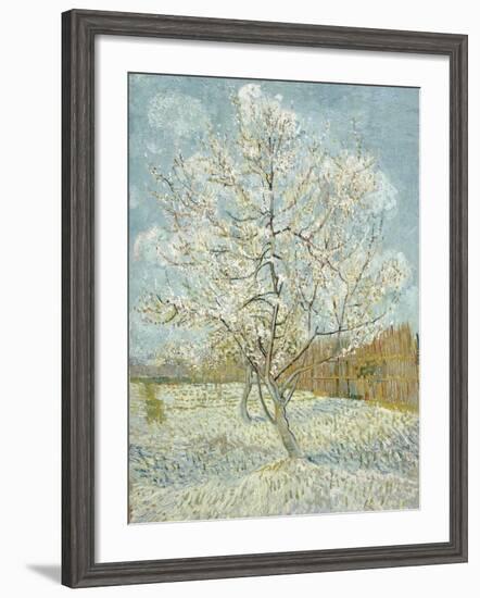 The Pink Peach Tree-Vincent van Gogh-Framed Giclee Print