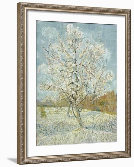 The Pink Peach Tree-Vincent van Gogh-Framed Giclee Print