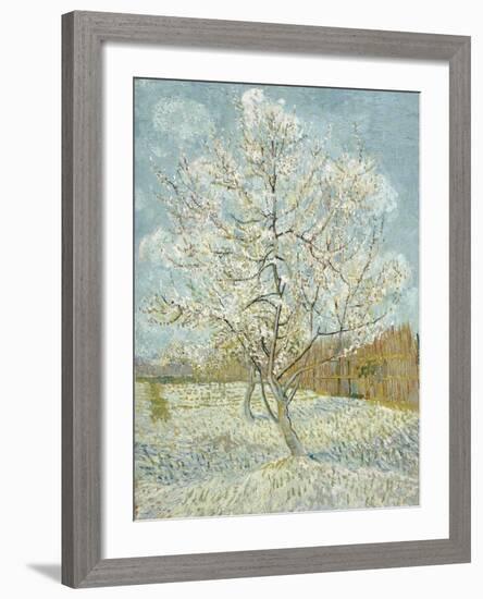 The Pink Peach Tree-Vincent van Gogh-Framed Giclee Print