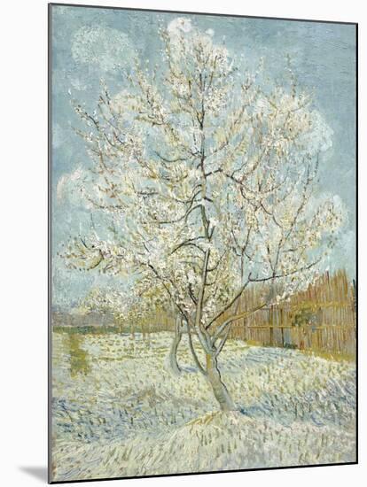 The Pink Peach Tree-Vincent van Gogh-Mounted Giclee Print