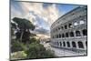 The pink sky at sunrise frames the ancient Colosseum (Flavian Amphitheatre), UNESCO World Heritage -Roberto Moiola-Mounted Photographic Print