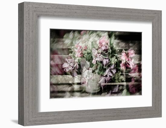 The Pinks-Valda Bailey-Framed Photographic Print