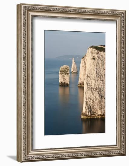 The Pinnacles near Old Harry Rocks, Studland, Dorset, UK-Ross Hoddinott-Framed Photographic Print