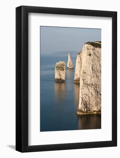 The Pinnacles near Old Harry Rocks, Studland, Dorset, UK-Ross Hoddinott-Framed Photographic Print