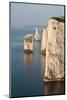 The Pinnacles near Old Harry Rocks, Studland, Dorset, UK-Ross Hoddinott-Mounted Photographic Print