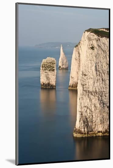 The Pinnacles near Old Harry Rocks, Studland, Dorset, UK-Ross Hoddinott-Mounted Photographic Print