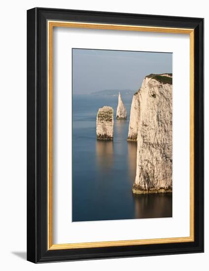 The Pinnacles near Old Harry Rocks, Studland, Dorset, UK-Ross Hoddinott-Framed Photographic Print