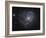 The Pinwheel Galaxy-Stocktrek Images-Framed Photographic Print