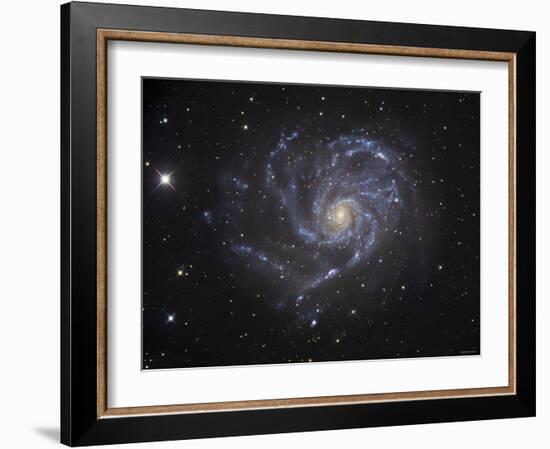 The Pinwheel Galaxy-Stocktrek Images-Framed Photographic Print