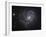 The Pinwheel Galaxy-Stocktrek Images-Framed Photographic Print