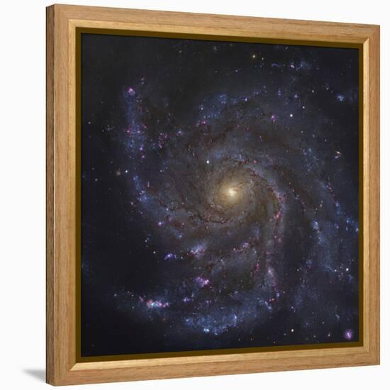 The Pinwheel Galaxy-Stocktrek Images-Framed Premier Image Canvas