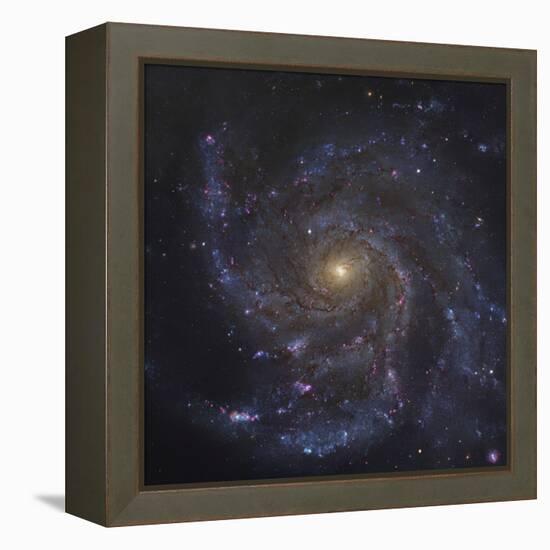 The Pinwheel Galaxy-Stocktrek Images-Framed Premier Image Canvas