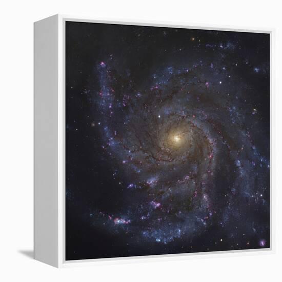 The Pinwheel Galaxy-Stocktrek Images-Framed Premier Image Canvas