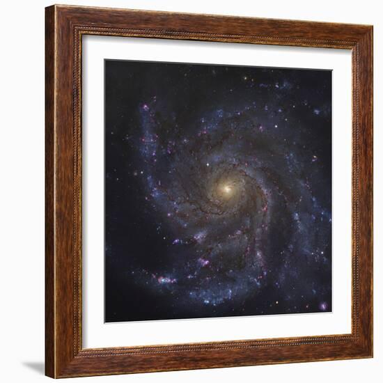 The Pinwheel Galaxy-Stocktrek Images-Framed Photographic Print